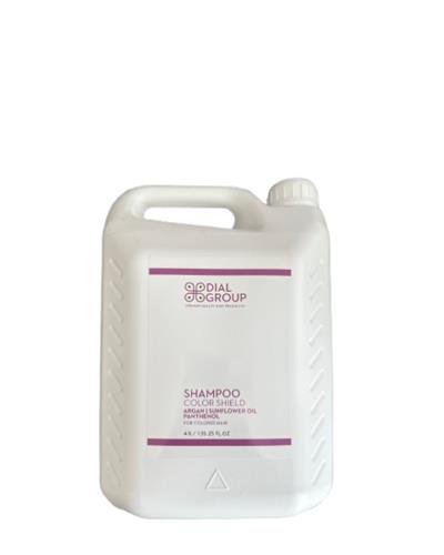 Dial Group Color Shampoo 4L