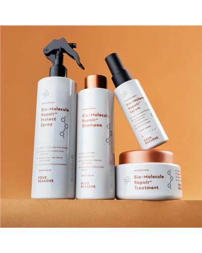 FR Bio-Molecule Repair Treatment 300ml